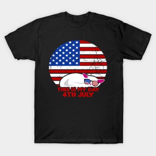 America Shirt 4th of July Patriotic T-shirt holiday T-Shirt